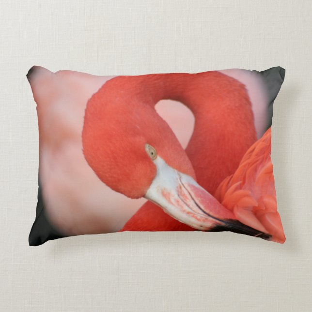 Almofada Decorativa Flamingo 001 (Frente)