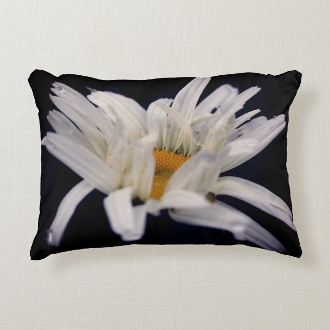 Almofada Decorativa Flor Daisy Dramatic  (Frente)