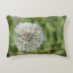 Almofada Decorativa Flor de dandelion branco sobre grama verde
