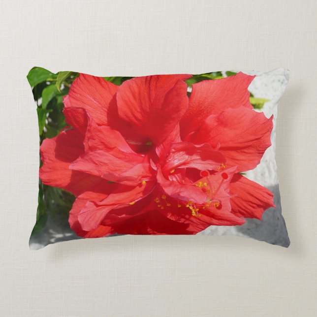 Almofada Decorativa Flor Red Double Hibiscus (Frente)
