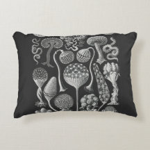 Formas artísticas da natureza