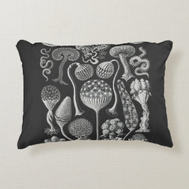 Almofada Decorativa Formas artísticas da natureza