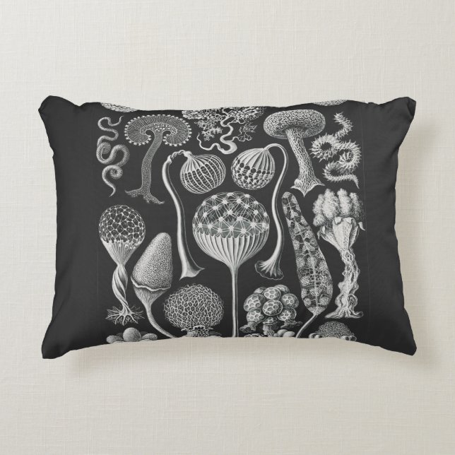 Almofada Decorativa Formas artísticas da natureza (Frente)