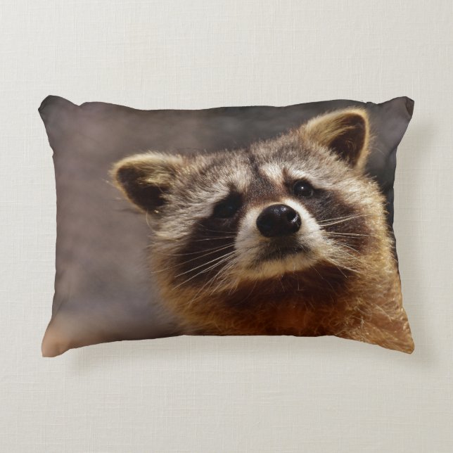 Almofada Decorativa Foto curiosa do Raccoon (Frente)