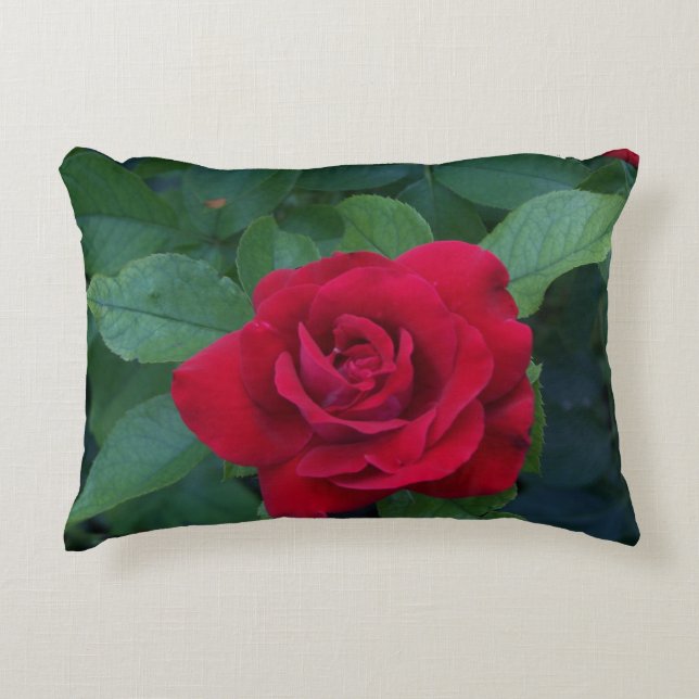 Almofada Decorativa Foto de Rosa Vermelha (Frente)