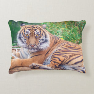 Almofada Decorativa Fotografia do Tigre de Reclinagem Estonteante