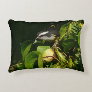 Almofada Decorativa Fotografia tropical de alimentação de aves de Ba