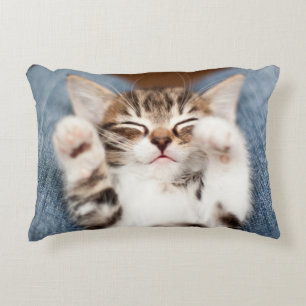 Almofada Decorativa Gatinho em meu regaço
