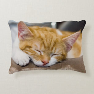 Almofada Decorativa Gatinho Gato