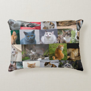 Almofada Decorativa Gatinhos em todos os lugares