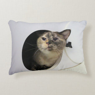 Almofada Decorativa Gato 