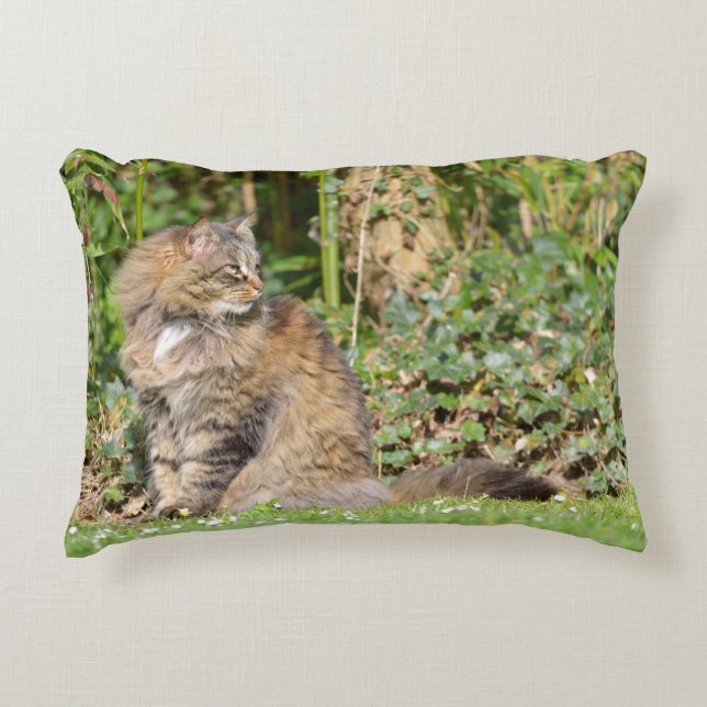 Almofada Decorativa Gato Angora (Frente)