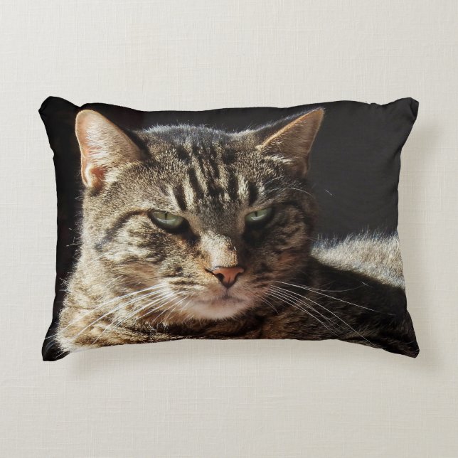 Almofada Decorativa Gato de gato malhado Crabby (Frente)