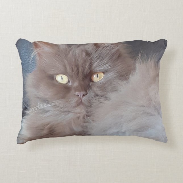 Almofada Decorativa Gato fofinho (Frente)