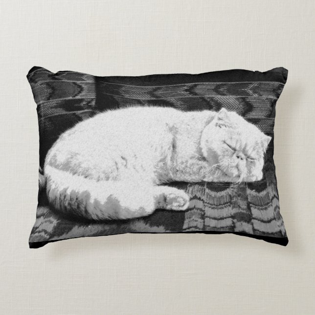 Almofada Decorativa Gato Persa Branco Adormecido (Frente)