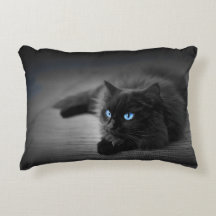 Gato Preto com Olhos Azuis Marcantes – Acento Feli