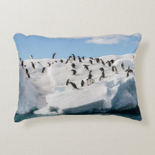 Almofada Decorativa Gentoo Penguin Antártica Iceberg Playtime
