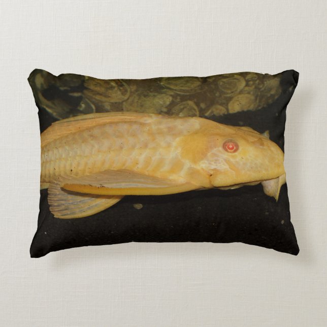 Almofada Decorativa Gibbiceps (Frente)