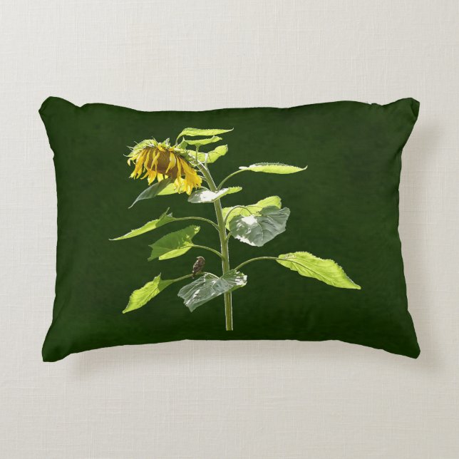 Almofada Decorativa Girassol e Sparrow (Frente)