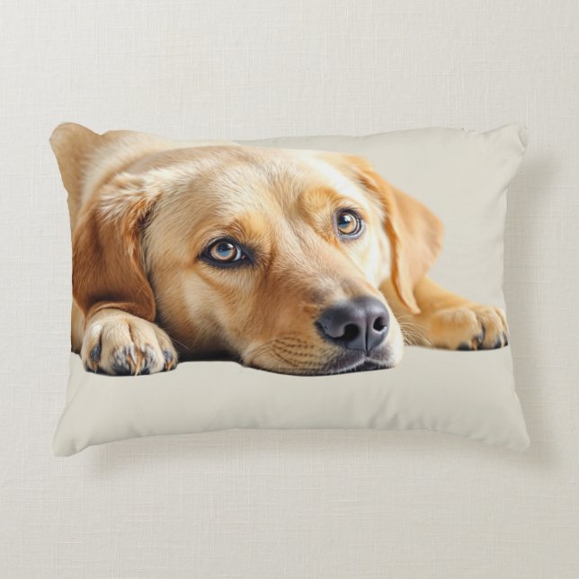Almofada Decorativa Golden Lab Pillow  (Frente)