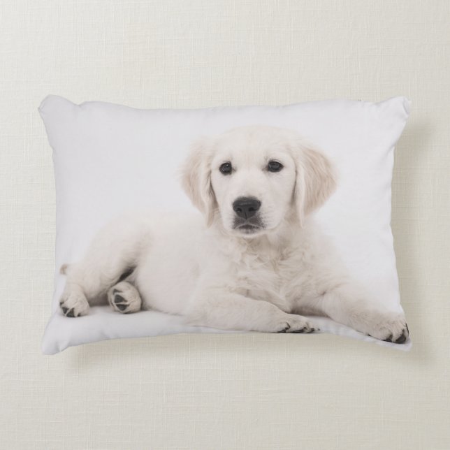 Almofada Decorativa Golden retriever (Frente)