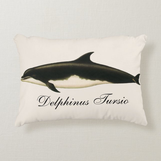 Almofada Decorativa Golfinhos Delphinus Tursio, Animais Marinhos Antig (Frente)