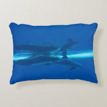 Golfinhos e reflexões