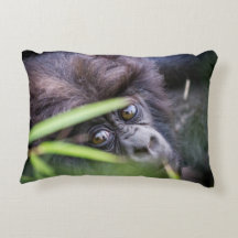 Gorila do bebê de Rwanda África