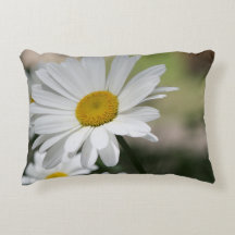 Grandes margaridas brancas