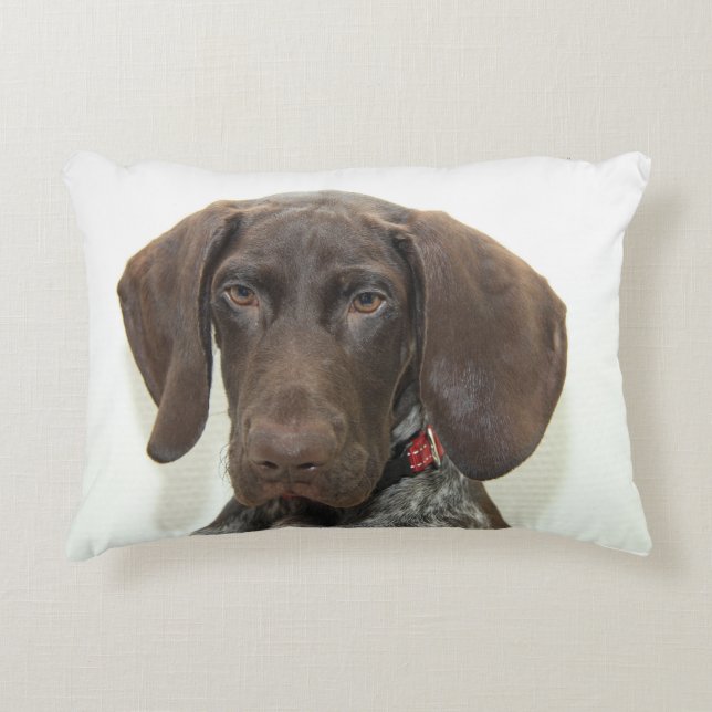 Almofada Decorativa Grizzly brilhante (Frente)