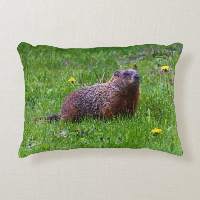 Almofada Decorativa Groundhog (Frente)