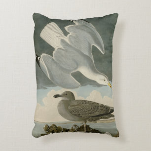 Almofada Decorativa Herring Gull do Birds of America, de John Audubon