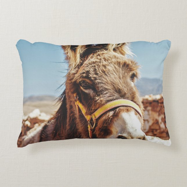 ALMOFADA DECORATIVA HI DONKEY (Frente)
