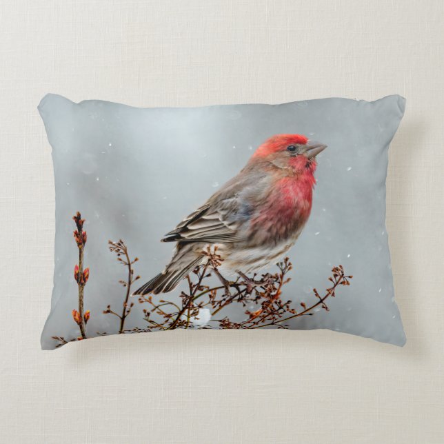 Almofada Decorativa House Finch in Snow - Foto original (Frente)