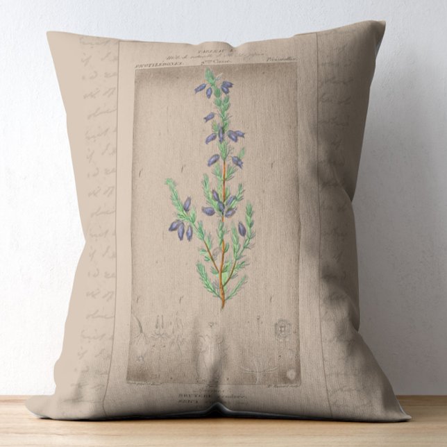 Almofada Decorativa Ilustração Botânica Francesa: Heather Celular (Criador carregado)