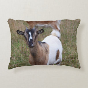 Almofada Decorativa Ir a um campo