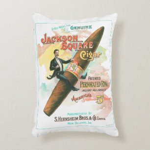 Almofada Decorativa Jackson Square Cigar