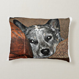 Almofada Decorativa Jessie… o travesseiro de Texas Heeler