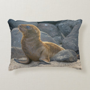 Almofada Decorativa Leão-marinho-das-galápagos