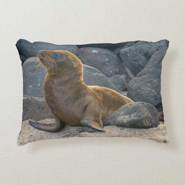 Almofada Decorativa Leão-marinho-das-galápagos (Frente)