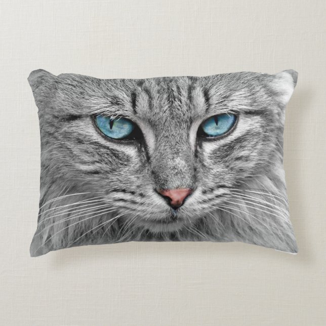Almofada Decorativa Linda Cinza de Olhos Azuis e Gato Branco (Frente)