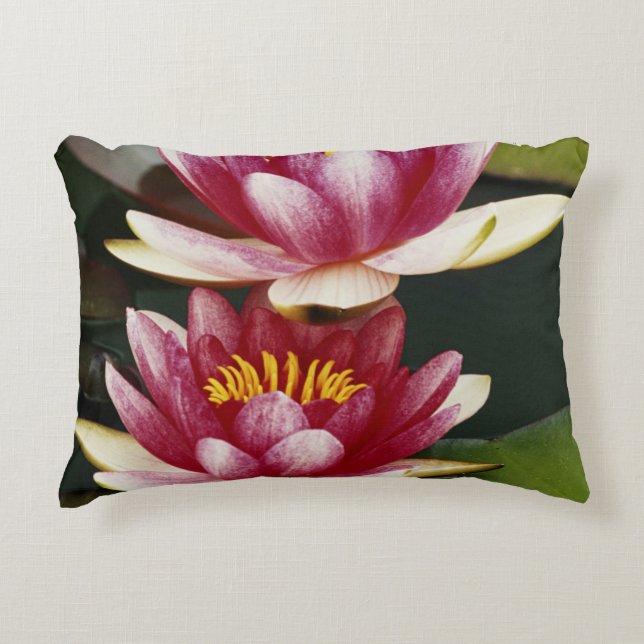 Almofada Decorativa Lírios-d'água híbridos (Frente)