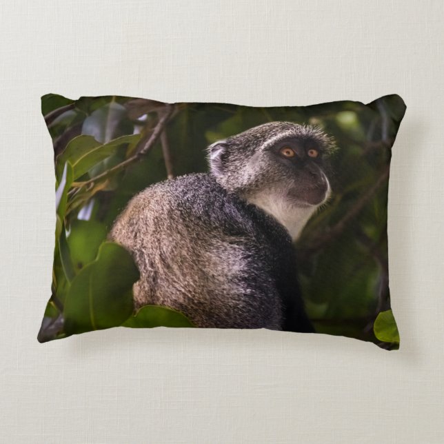 Almofada Decorativa Macaco azul, Zanzibar (Verso)