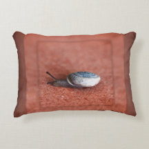 Macro Fotografia de Caracol em Terracotta