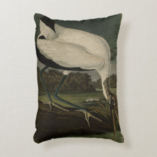 Almofada Decorativa Madeira Ibis (Ibis, Stork): Aves de Audubon da Amé