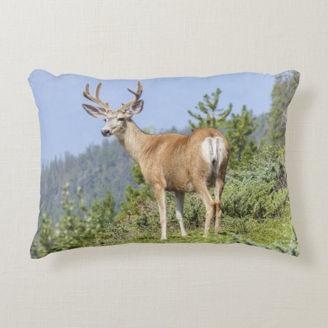 Almofada Decorativa Majexpressa Deer (Frente)
