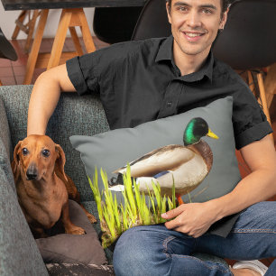 Almofada Decorativa Mallard Duck Wildlife Photo