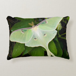 Almofada Decorativa Mariposa Lunar em Clematite de Carnaby