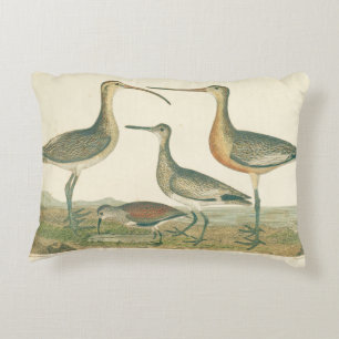 Almofada Decorativa Marsh Bird Curlew Snipe Birding
