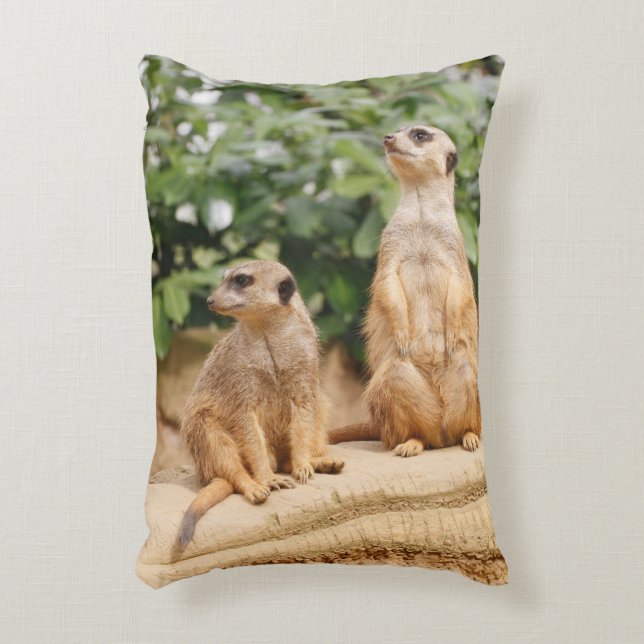 Almofada Decorativa Meerkat 009 (Frente(Vertical))